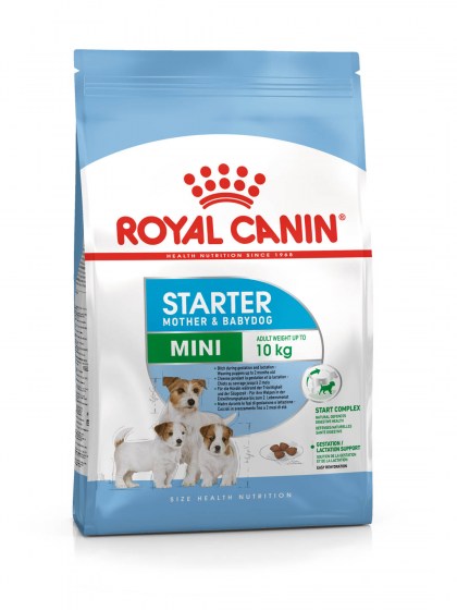 SHN MINI STARTER_web